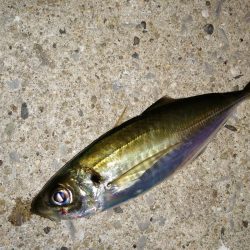 気分を変え場所を変え