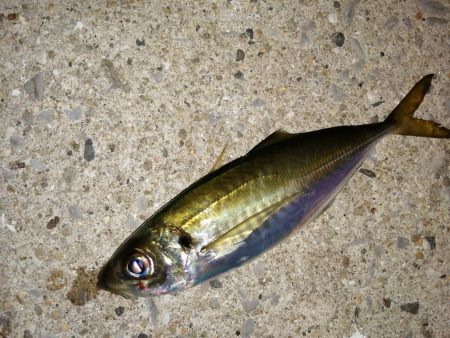 気分を変え場所を変え