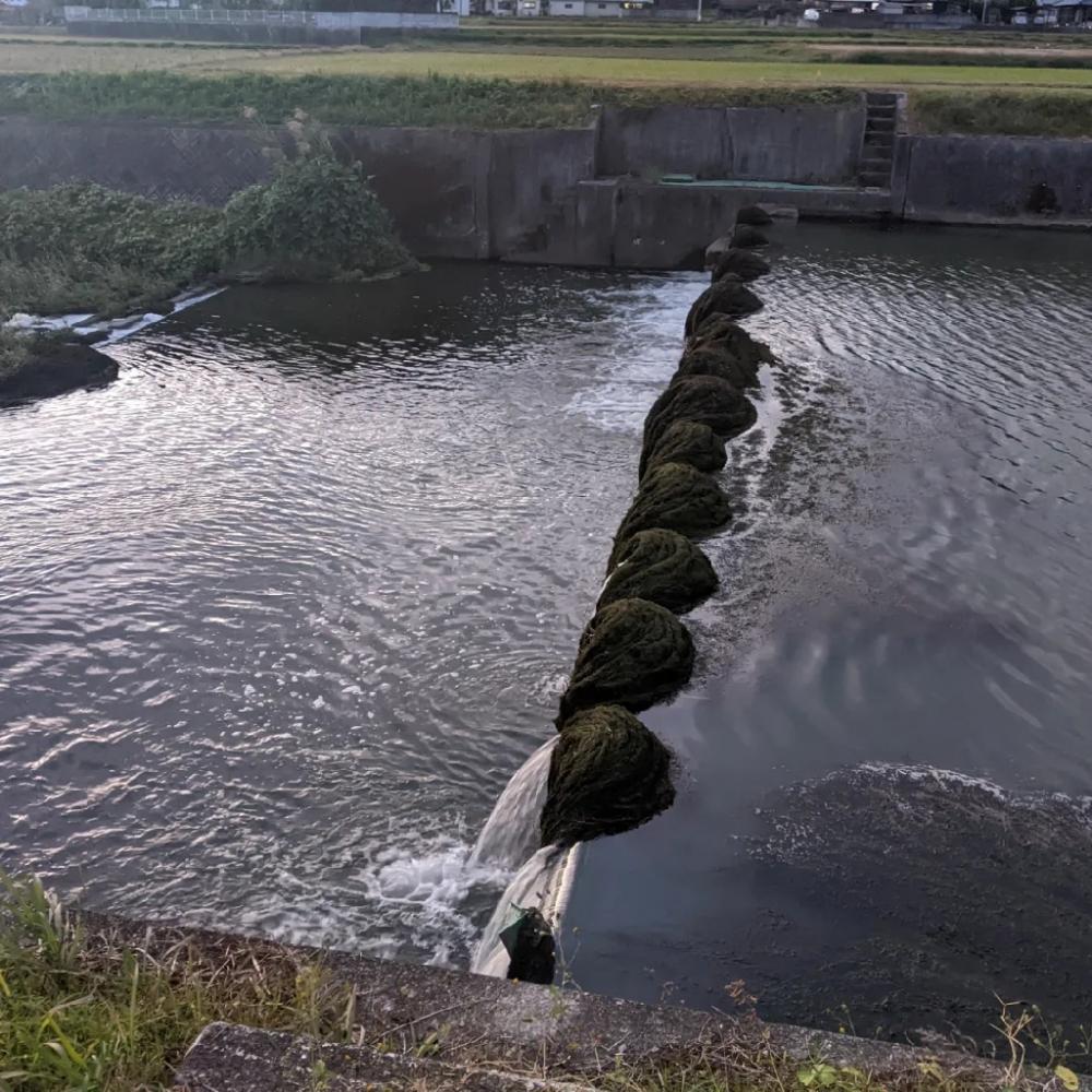 やっぱり着いてた。