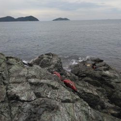 ボラに疲れました・・・