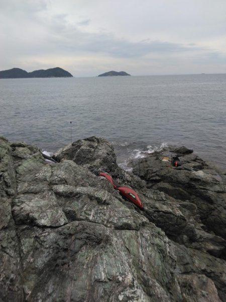 ボラに疲れました・・・