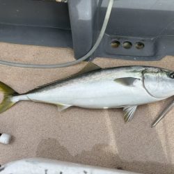 丹後半島沖ジギング船爆釣