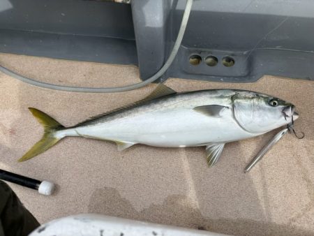 丹後半島沖ジギング船爆釣