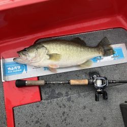 北山田連日の50オーバー