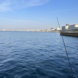 サビキっす　冬の海