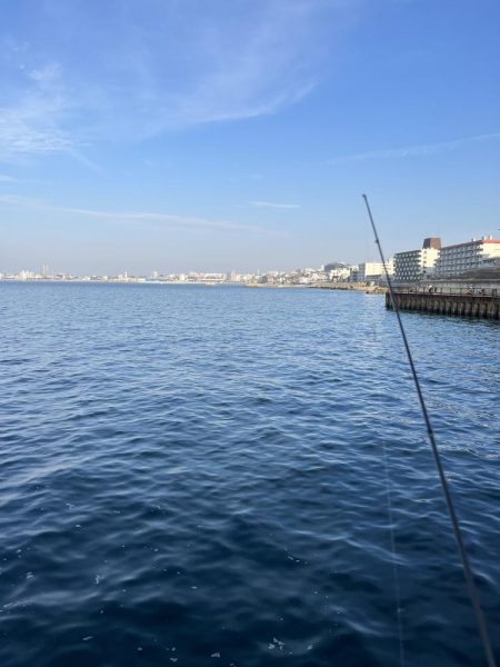 サビキっす　冬の海