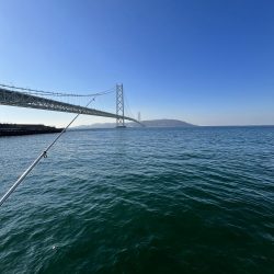 投げはじめました