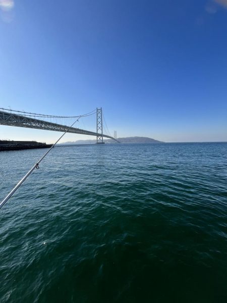 投げはじめました