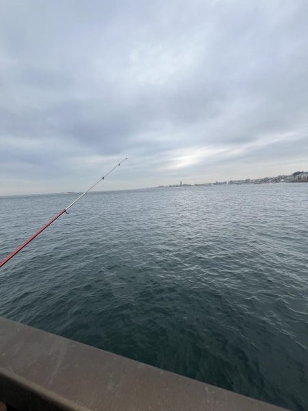 陸は紅葉海はカレイ