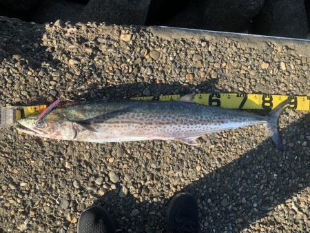 なかなか2匹目が釣れない