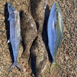 大満足^_^の釣行