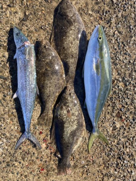 大満足^_^の釣行