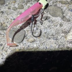 アジングとワインド