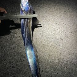 サイズアップしてます。