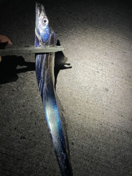 サイズアップしてます。