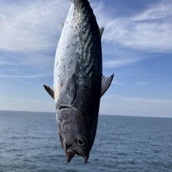 神谷荘さんでカゴ釣り