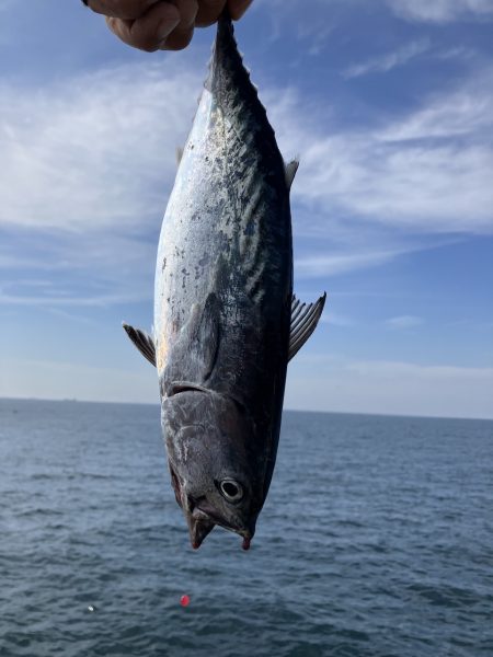 神谷荘さんでカゴ釣り