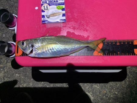 イベント釣行　2