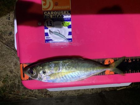 イベント釣行　3