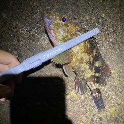 裏切らないガシリング