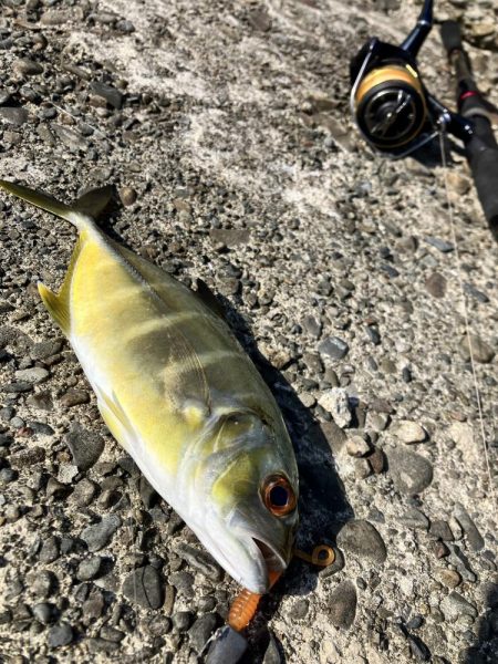 年々渋くなってきている