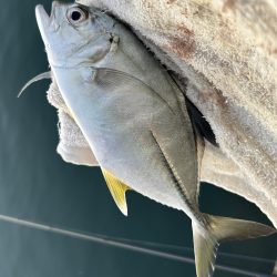 ランガンメッキ楽しい〜