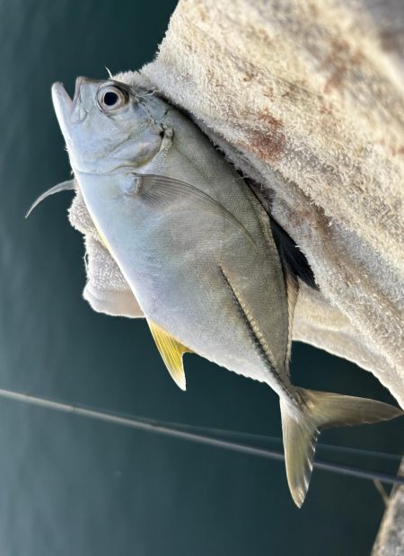 ランガンメッキ楽しい〜