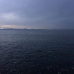 エギング　新潟市内ホーム釣行