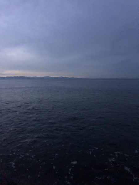 エギング　新潟市内ホーム釣行