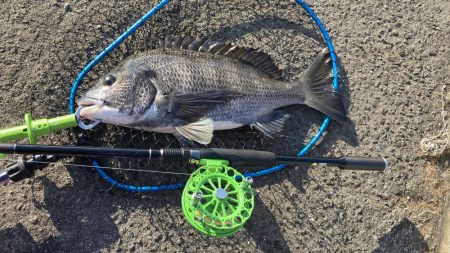 スリットから引きずり出す！