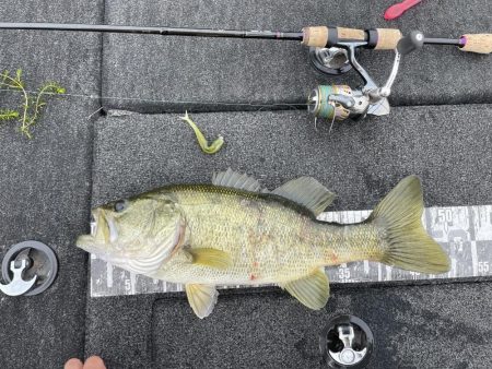 久しぶりの琵琶湖