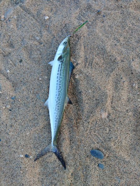 ジグを遠くに投げたいんだ！