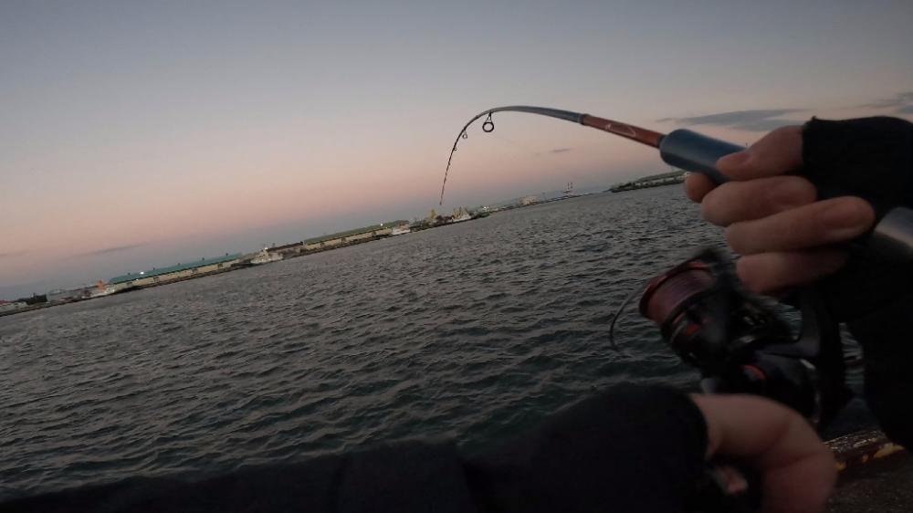 飲ませ3戦目🎣