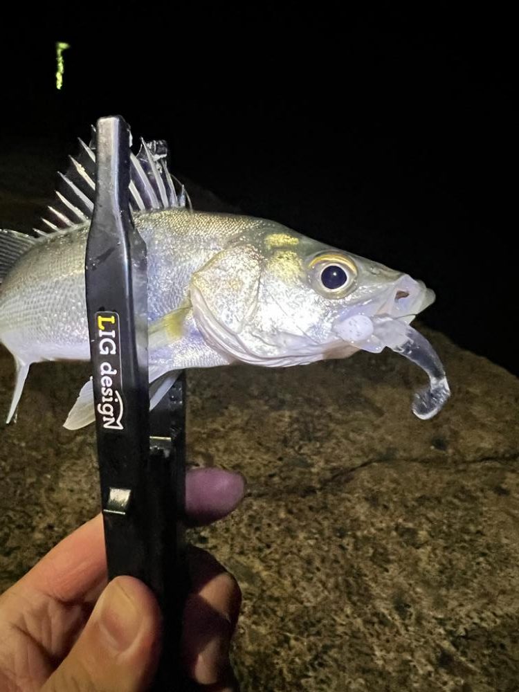 のべ竿 ライトゲーム