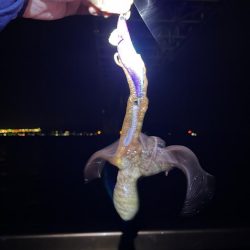 いるんですね。