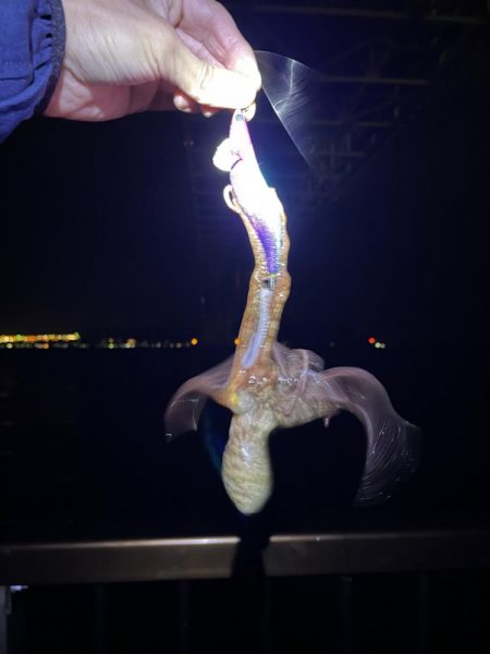 いるんですね。