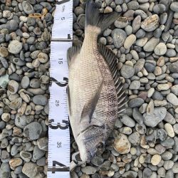 キャンプand釣り