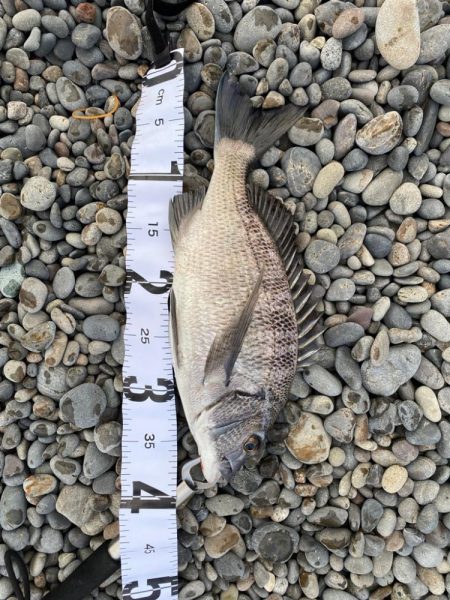 キャンプand釣り