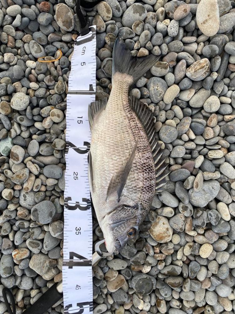 キャンプand釣り