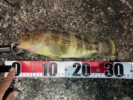 ヤエンのつもりがまさかの