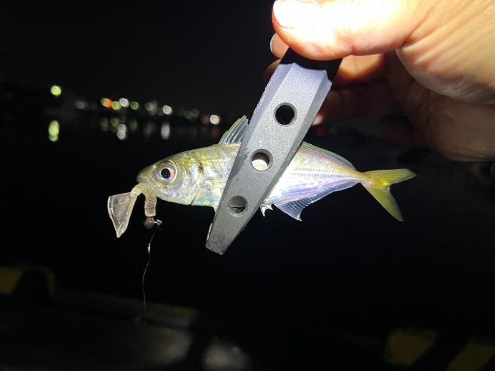 休日出勤からの