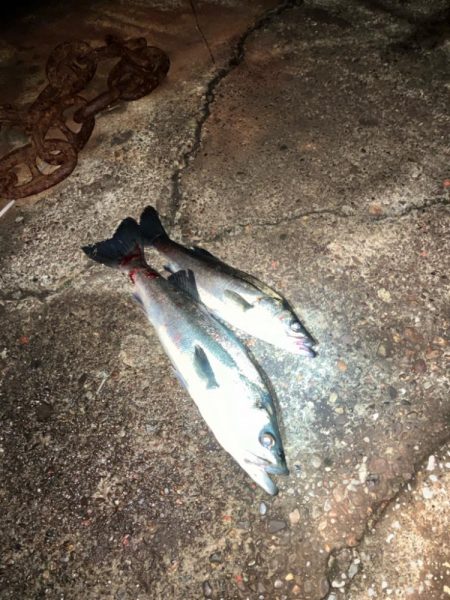 30分でツーキャッチ