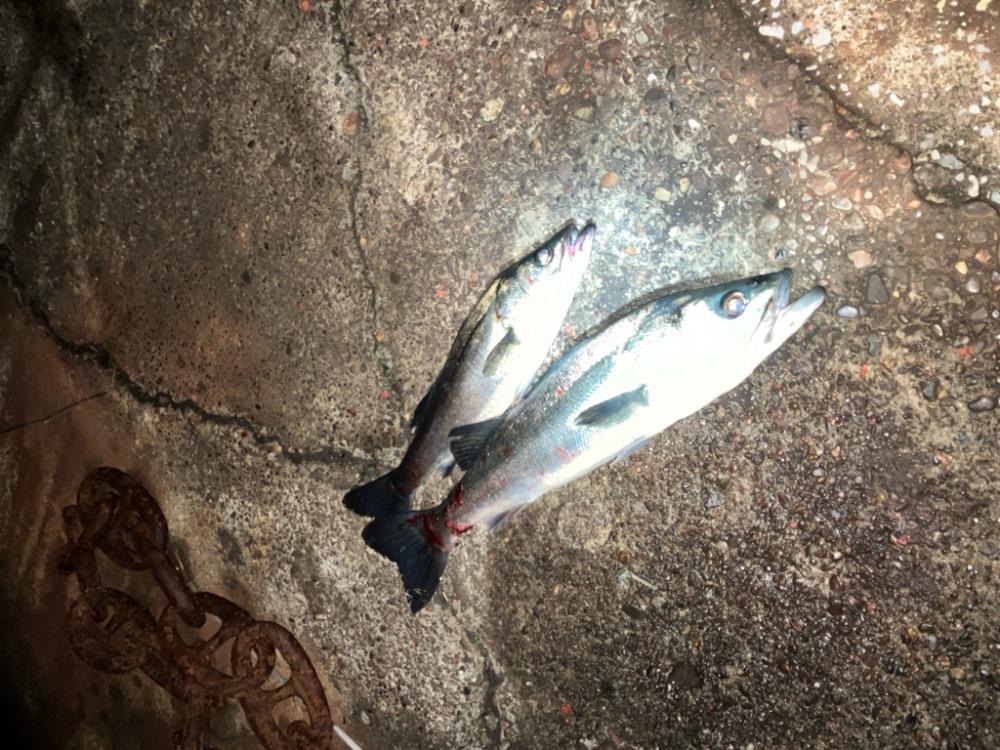 30分でツーキャッチ