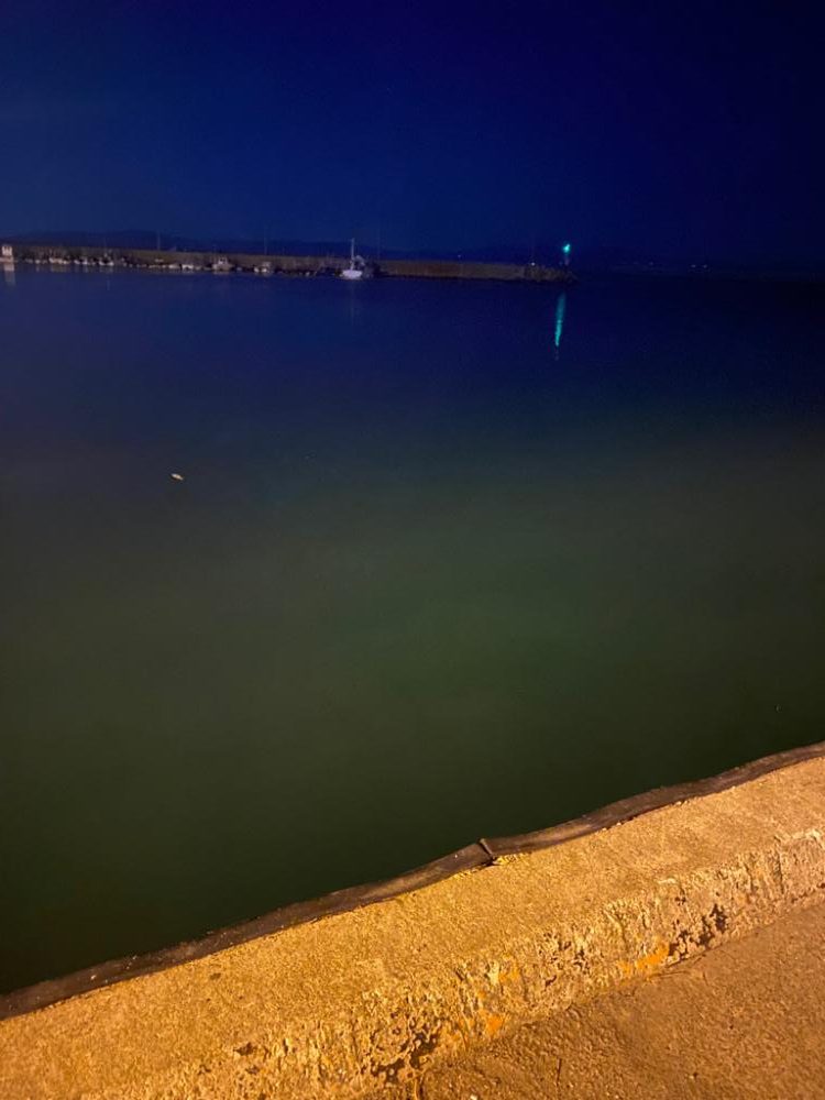 メバリング2023①