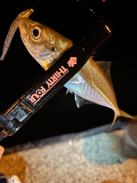 永遠釣れるアジ🐟