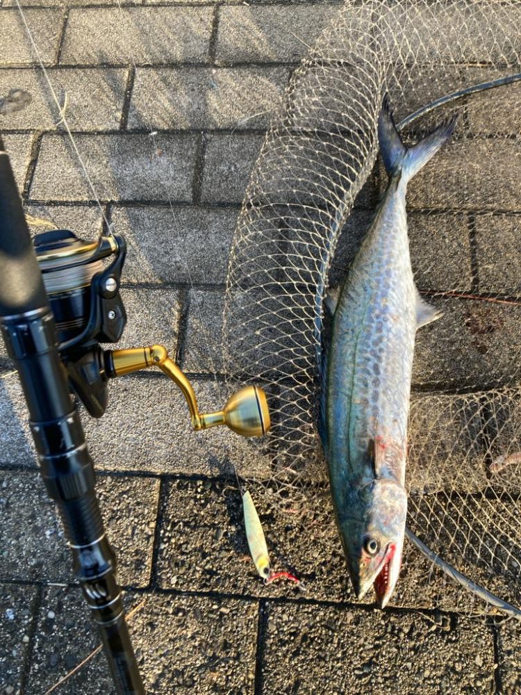 ダラダラ長潮。青牙1本。。