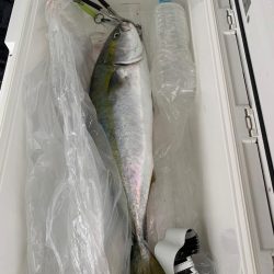 ニュータックル鱗付け