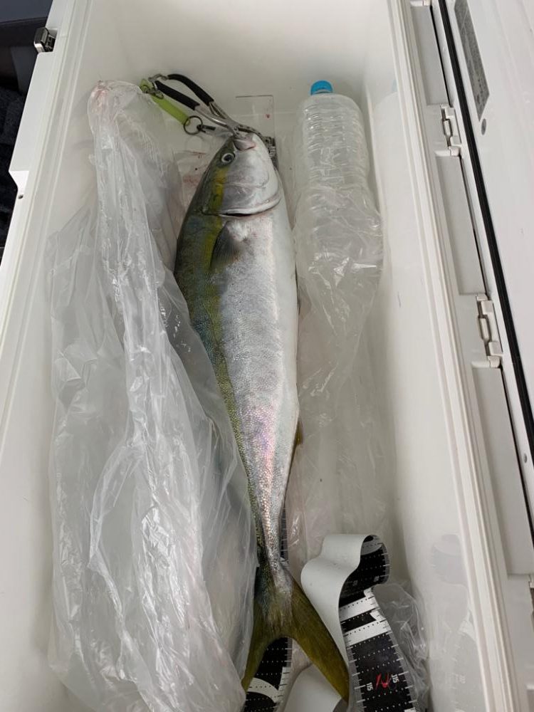 ニュータックル鱗付け