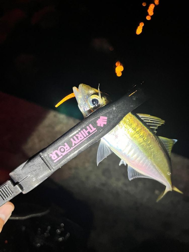 根こそぎアジを釣ってますw