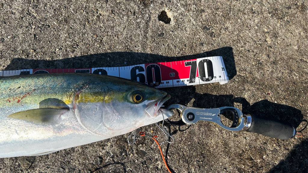 久しぶりのムコイチ